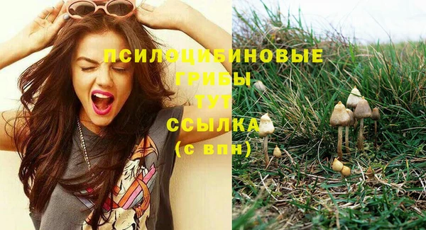 прущая мука Алзамай