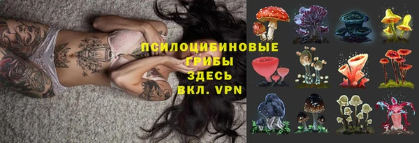 мяу мяу мука Алексин