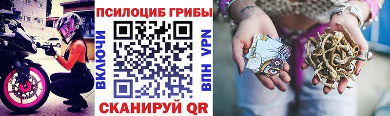 Псилоцибиновые грибы MAGIC MUSHROOMS  продажа наркотиков  МЕГА зеркало  Куса 