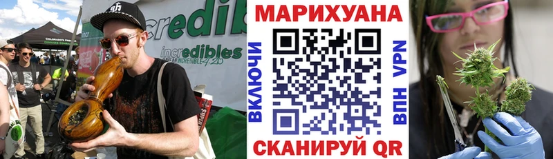 Марихуана сатива  Куса 